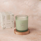 Planted Botantical Candles - Limited Edition Spring/Summer