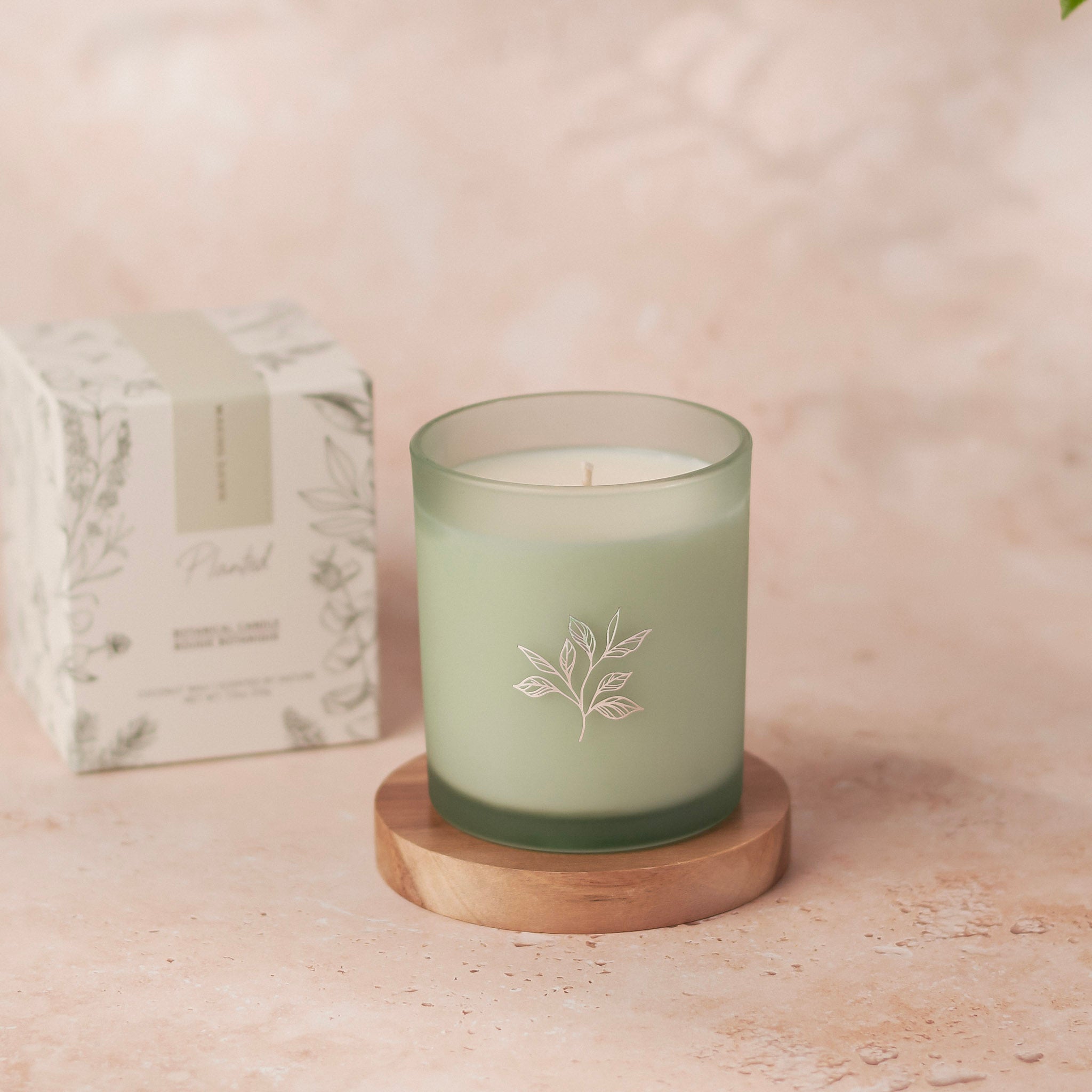 Planted Botantical Candles - Limited Edition Spring/Summer