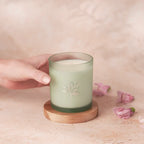 Planted Botantical Candles - Limited Edition Spring/Summer