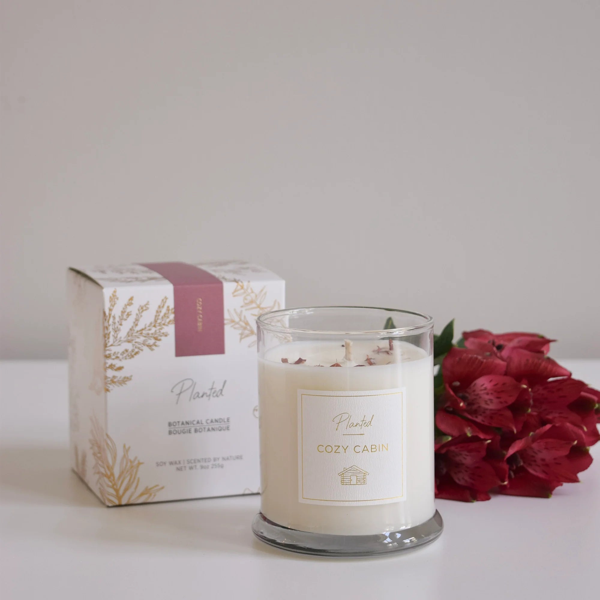 Planted cozy cabin scented candle in glass jar