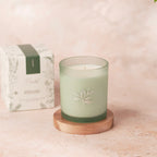 Planted Botantical Candles - Limited Edition Spring/Summer
