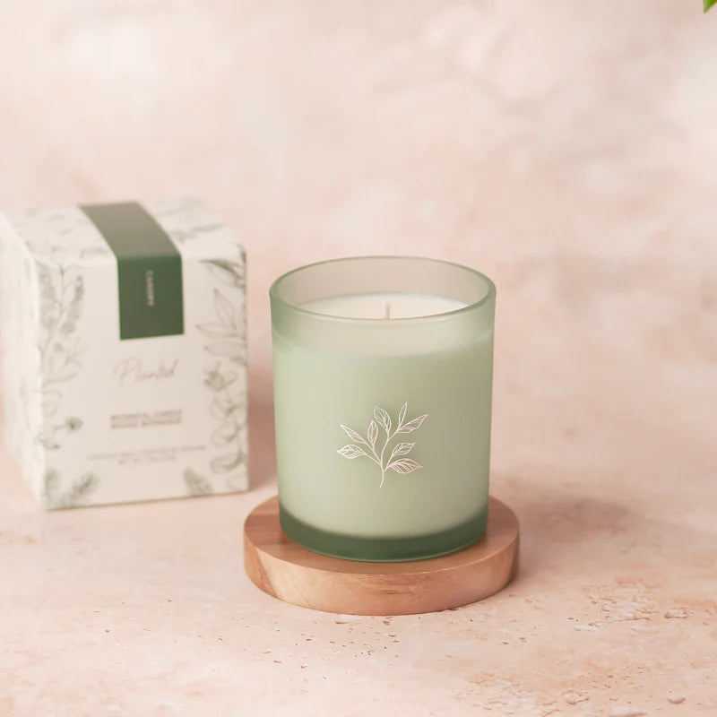 Planted Botantical Candles - Limited Edition Spring/Summer