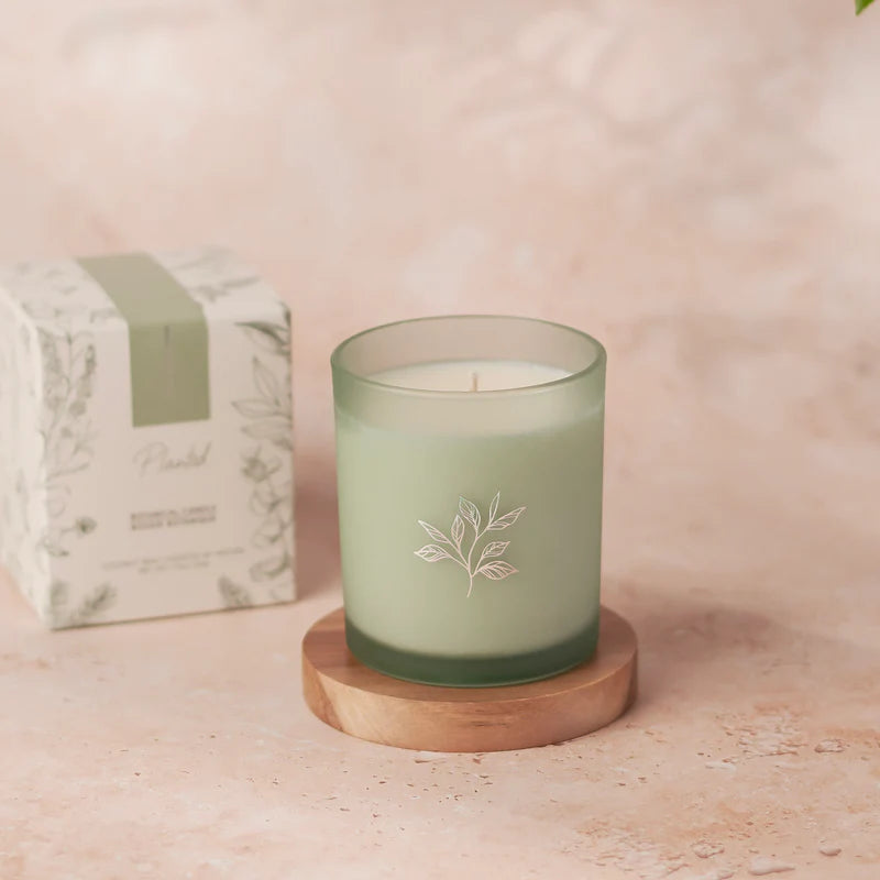 Planted Botantical Candles - Limited Edition Spring/Summer