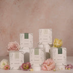 Planted Botantical Candles - Limited Edition Spring/Summer