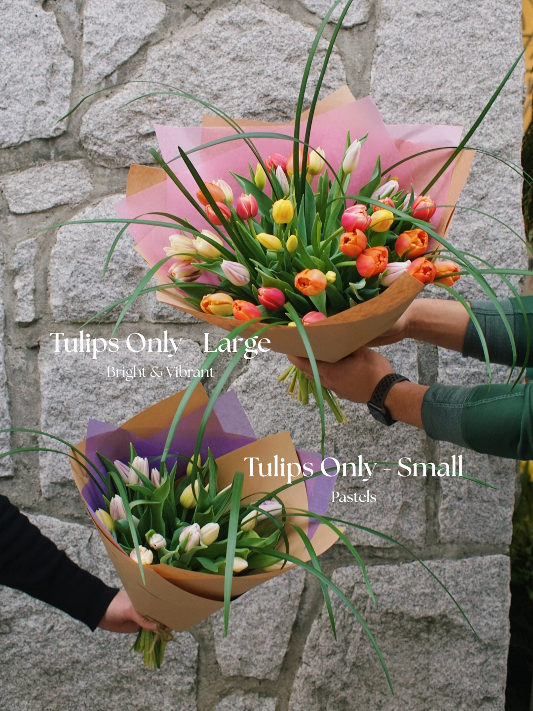 Valentines Day Tulip Collection