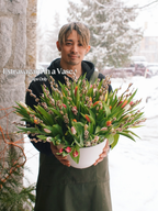 Mother's Day Tulip Collection