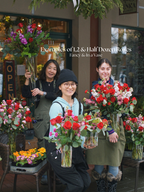 Valentines Roses Collection