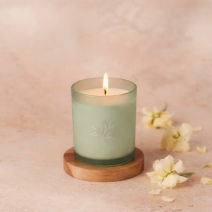 Planted Botantical Candles - Limited Edition Spring/Summer