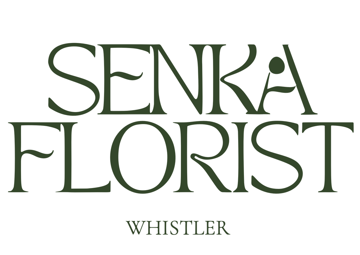 Senka Florist