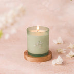 Planted Botantical Candles - Limited Edition Spring/Summer