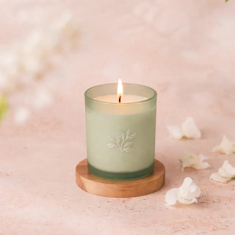 Planted Botantical Candles - Limited Edition Spring/Summer