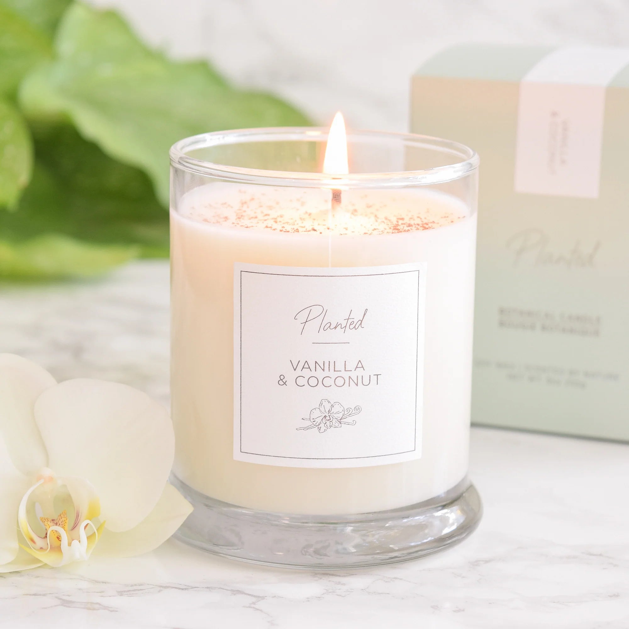 Planted vanilla & coconut scented candle in glass jar, flame lit
